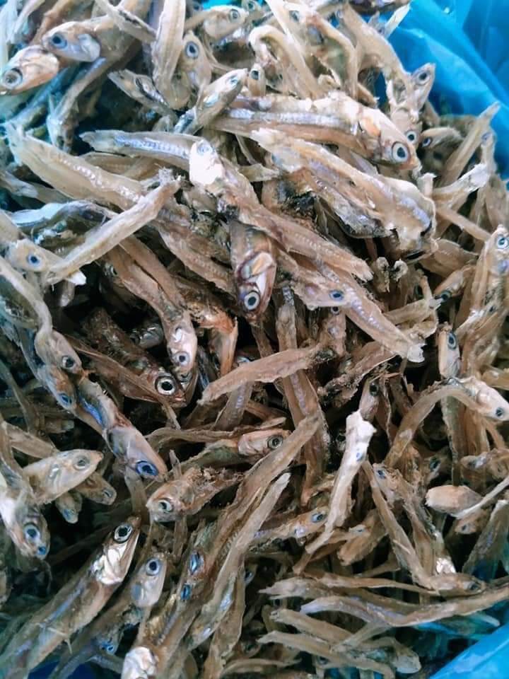 Dried Fish Dilis Gigi Alamang Lazada Ph