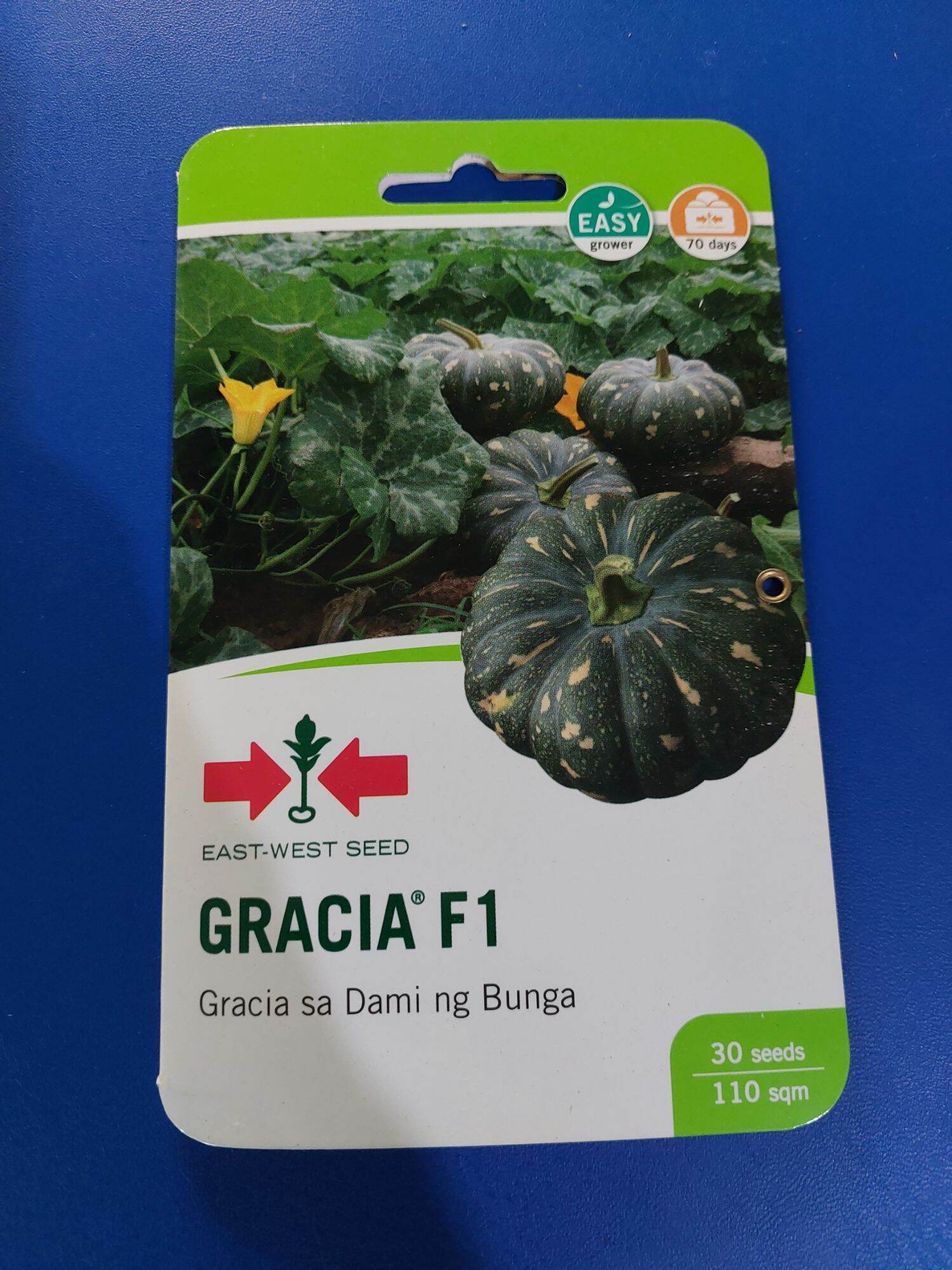 Gracia F Seeds Hybrid Calabasa Kalabasa Squash By East West