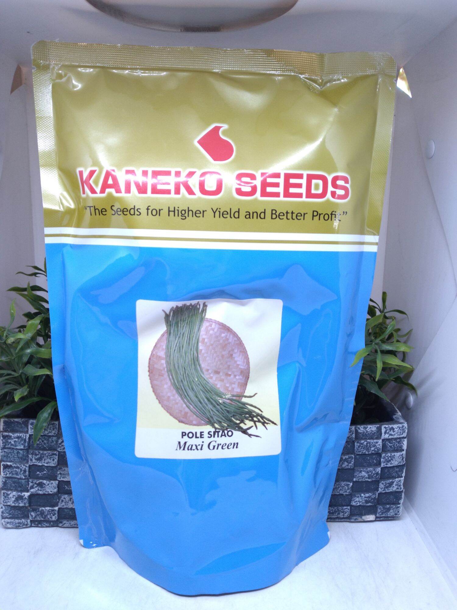 Pole Sitao Maxi Green Kaneko Seeds Kg Lazada Ph