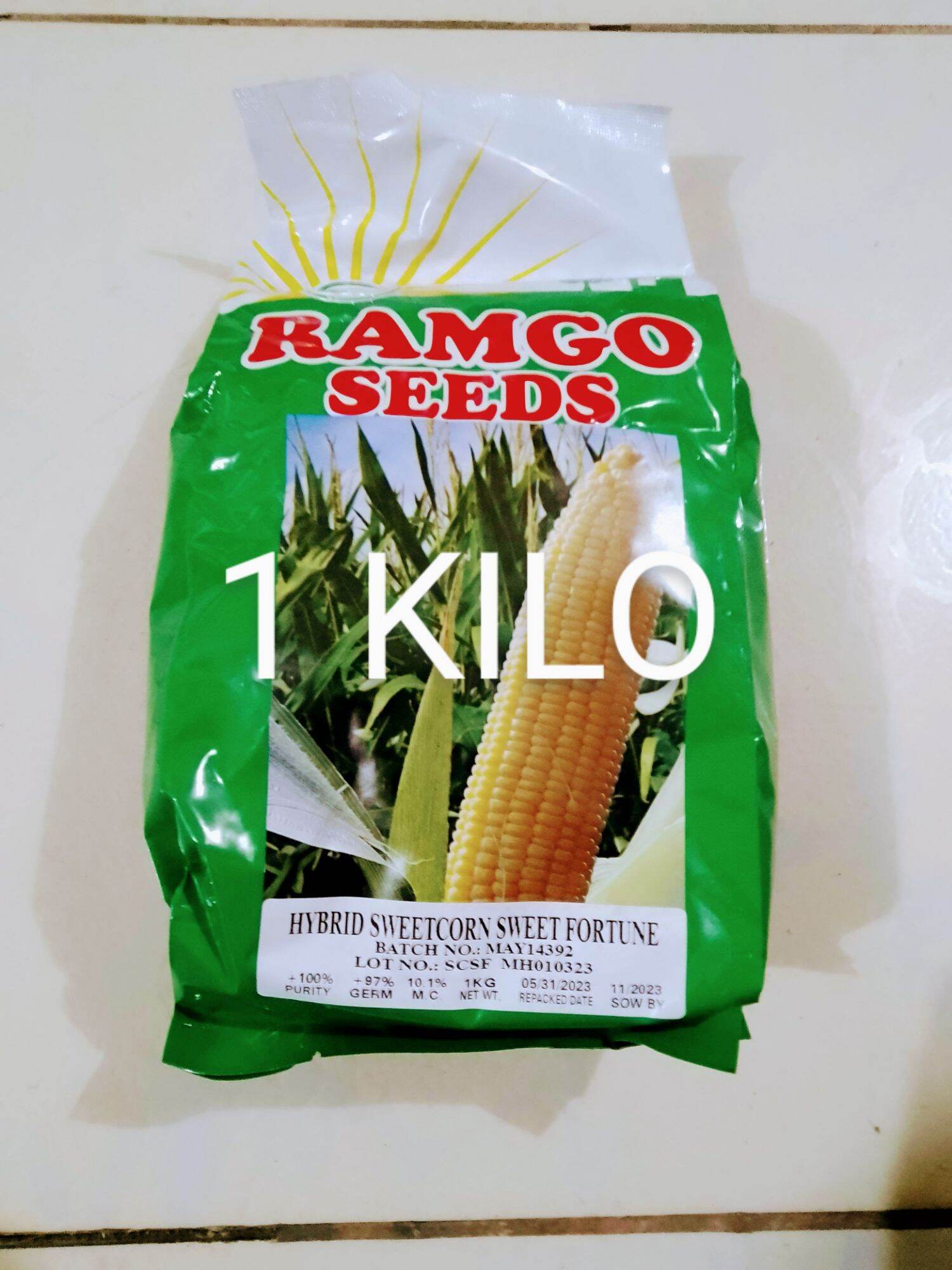 Sweet Fortune F Hybrid Sweet Corn Seeds Kilo By Ramgo Seeds