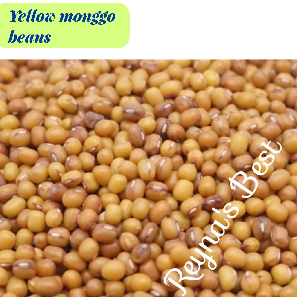 Monggo Beans Yellow Monggo Mung Beans 500g 1kg Good Quality Lowest