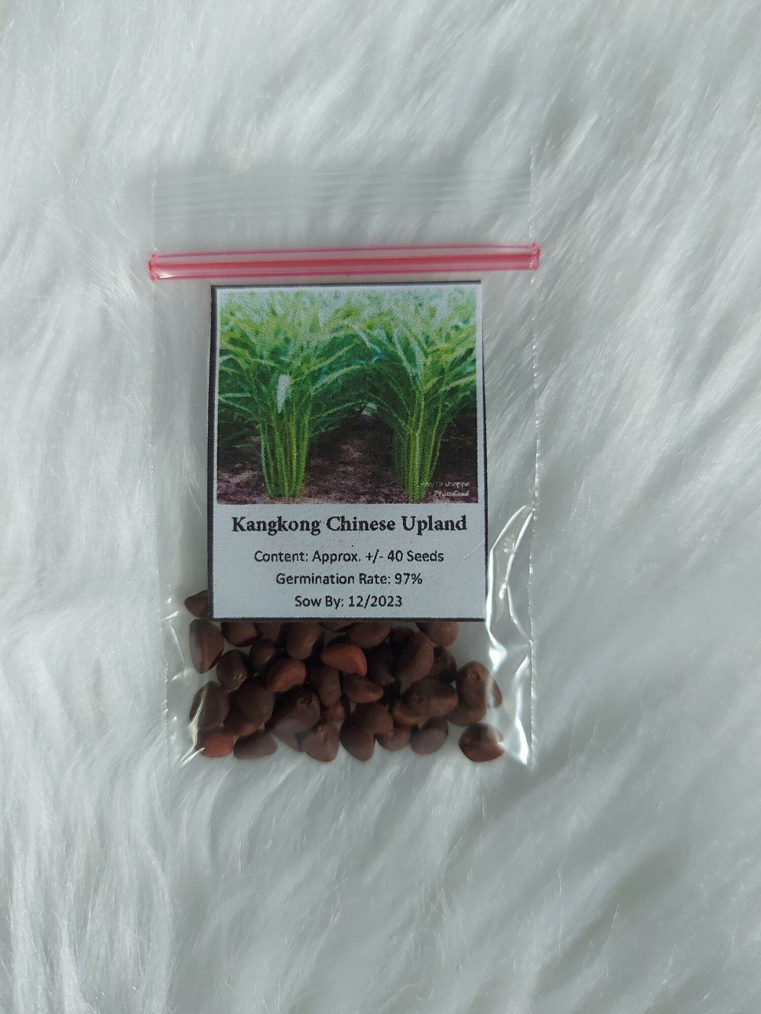 Kangkong Chinese Upland Kangkong Seeds Lazada Ph