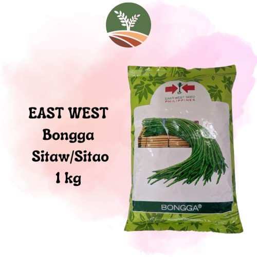 BONGGA EAST WEST SEED GREEN YARD LONG BEAN SITAW SITAO SEEDS 1kg