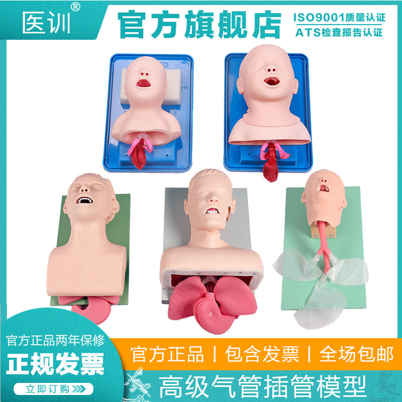 Medical Training Advanced Human Tracheal Intubation Training Model