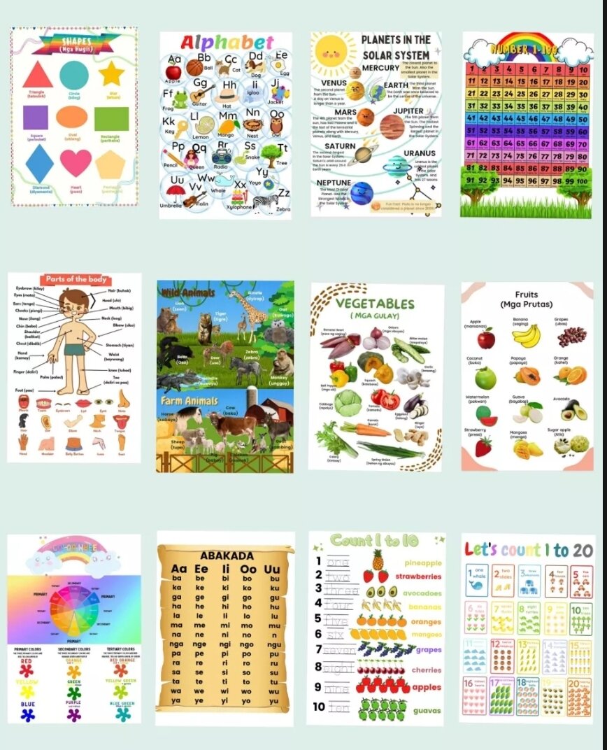 A4 Educational Laminated Charts Lazada PH