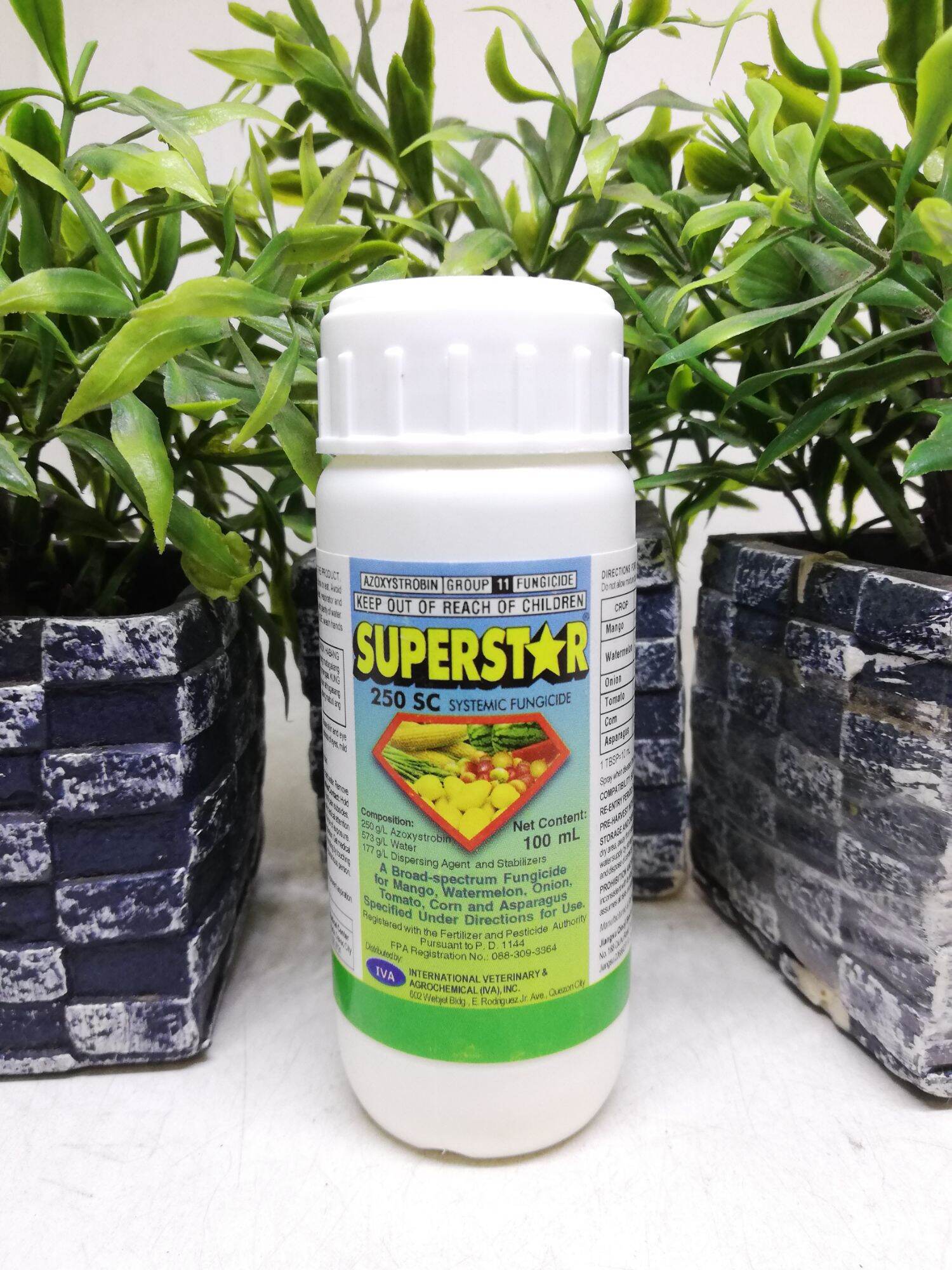 Superstar 250 SC Systemic Fungicide 100 Ml Lazada PH