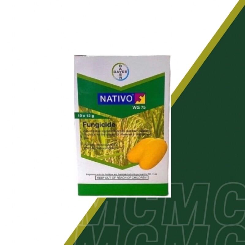 Bayer Nativo WG75 Fungicide Per Box Lazada PH