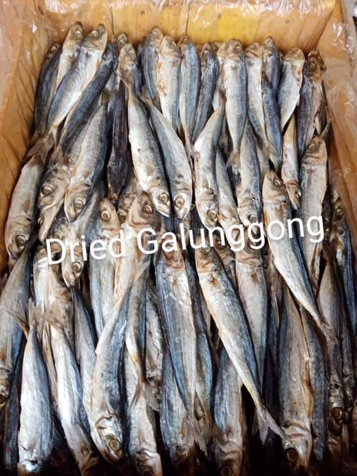 Dried Fish Tuyo Galunggong Kilo G Lazada Ph