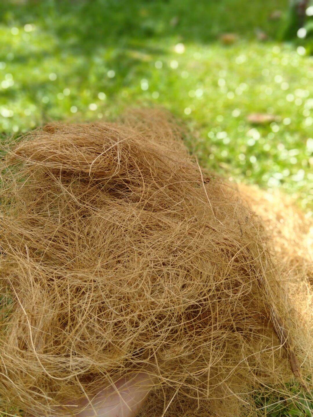 2 kilos Coco Fiber for your Orchids, Bromeliads And other Plants