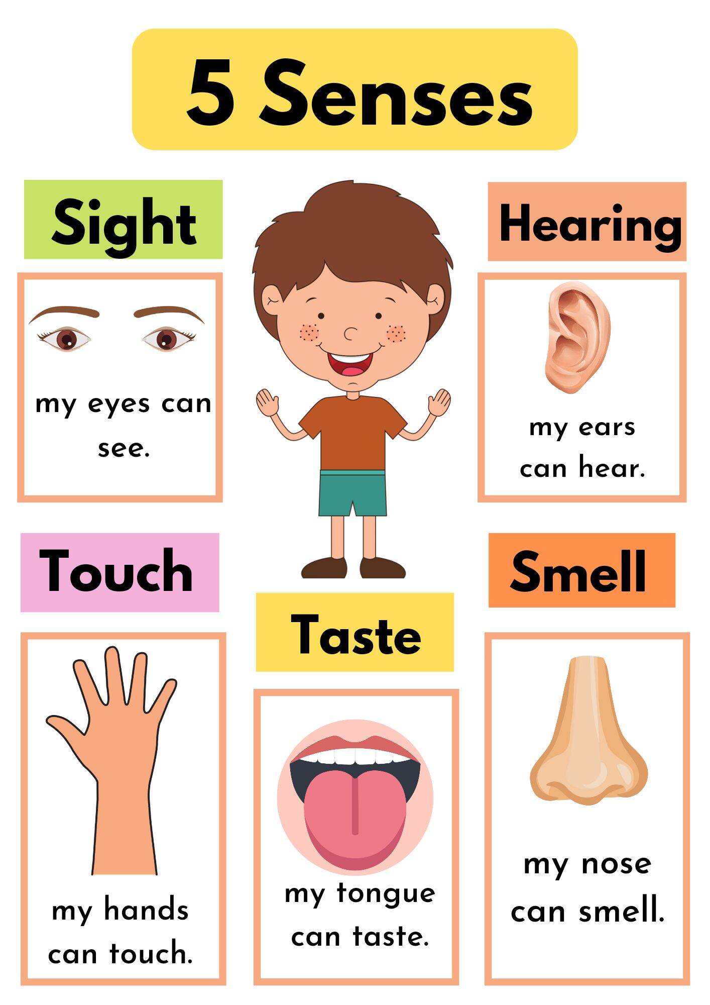 5 Senses Chart