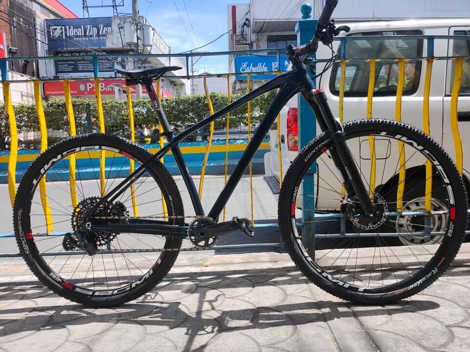 mountain peak everest 29er