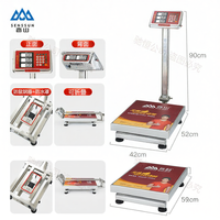 Camry | Waterproof Stainless Steel Platform Scale