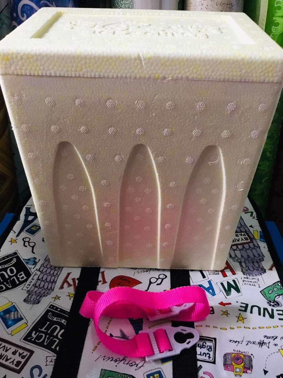 Styro Cooler Box Lazada PH