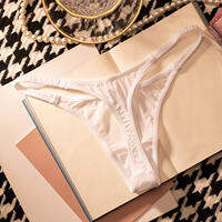 ZQTWT | Women Panties Sexy G String Thong Ice Silk Seamless Underwear Leopard T Back Girls Briefs Leopard Underpants Plus Size S-XL