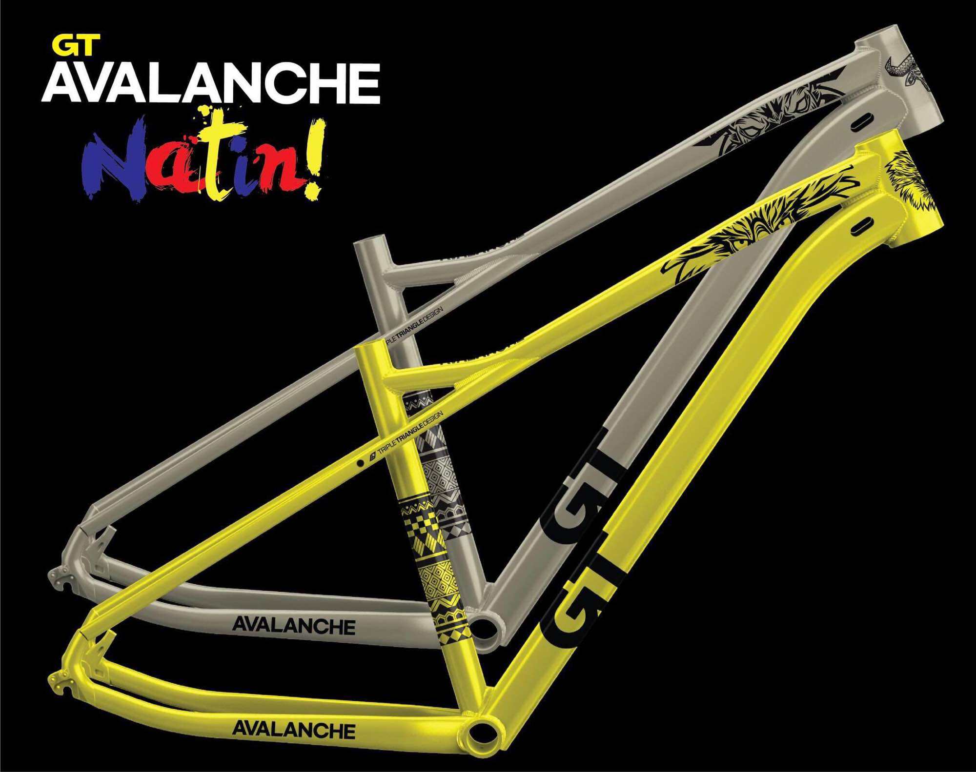 Gt sale avalanche frame