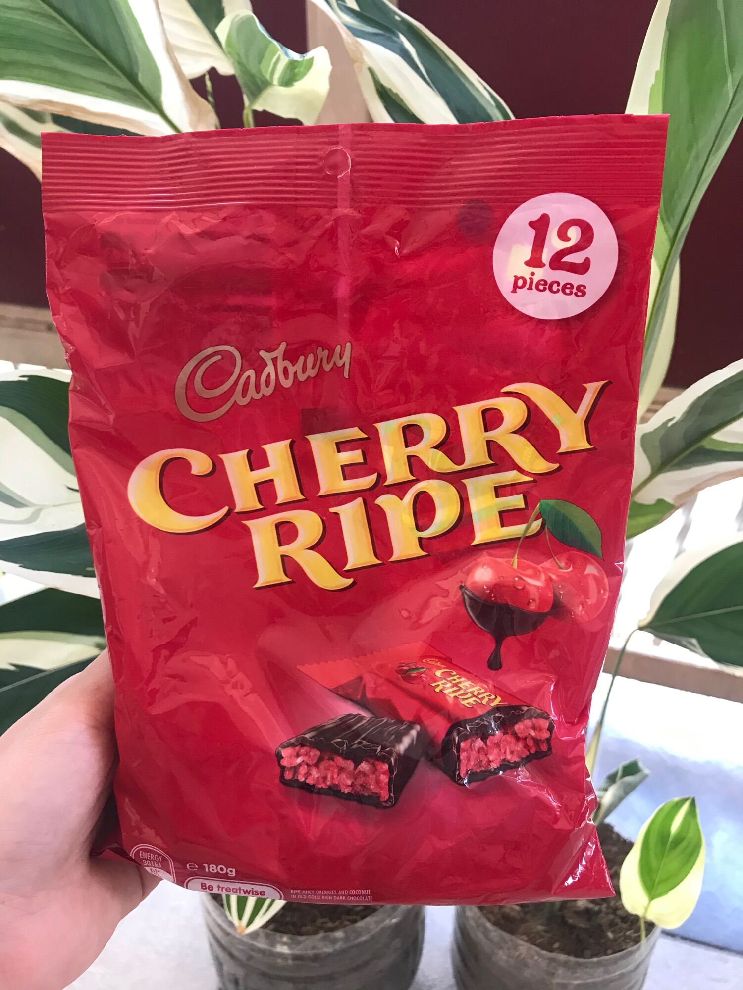 Cadbury Cherry Ripe 12pcs 180g Lazada PH