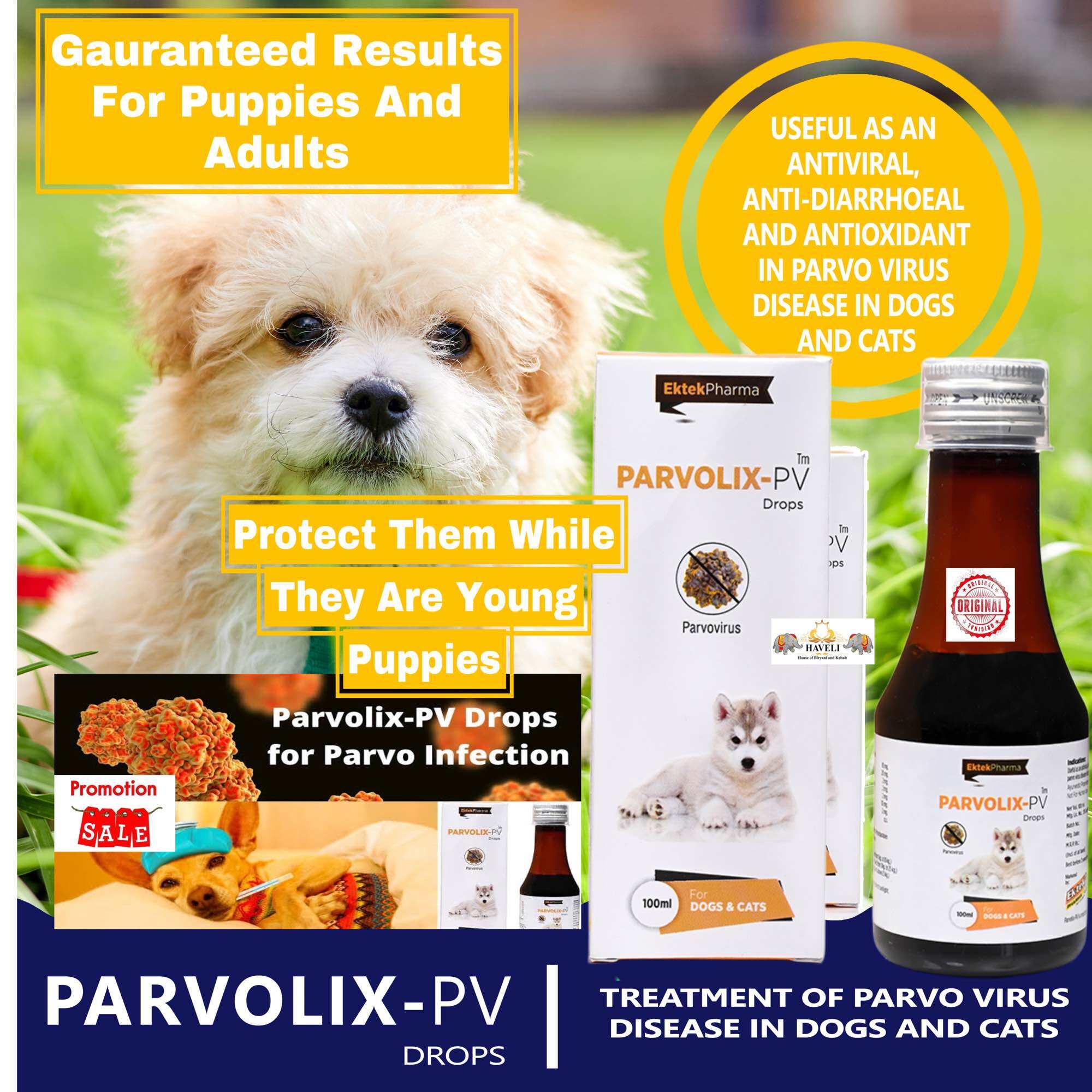 Parvovirus natural treatment best sale