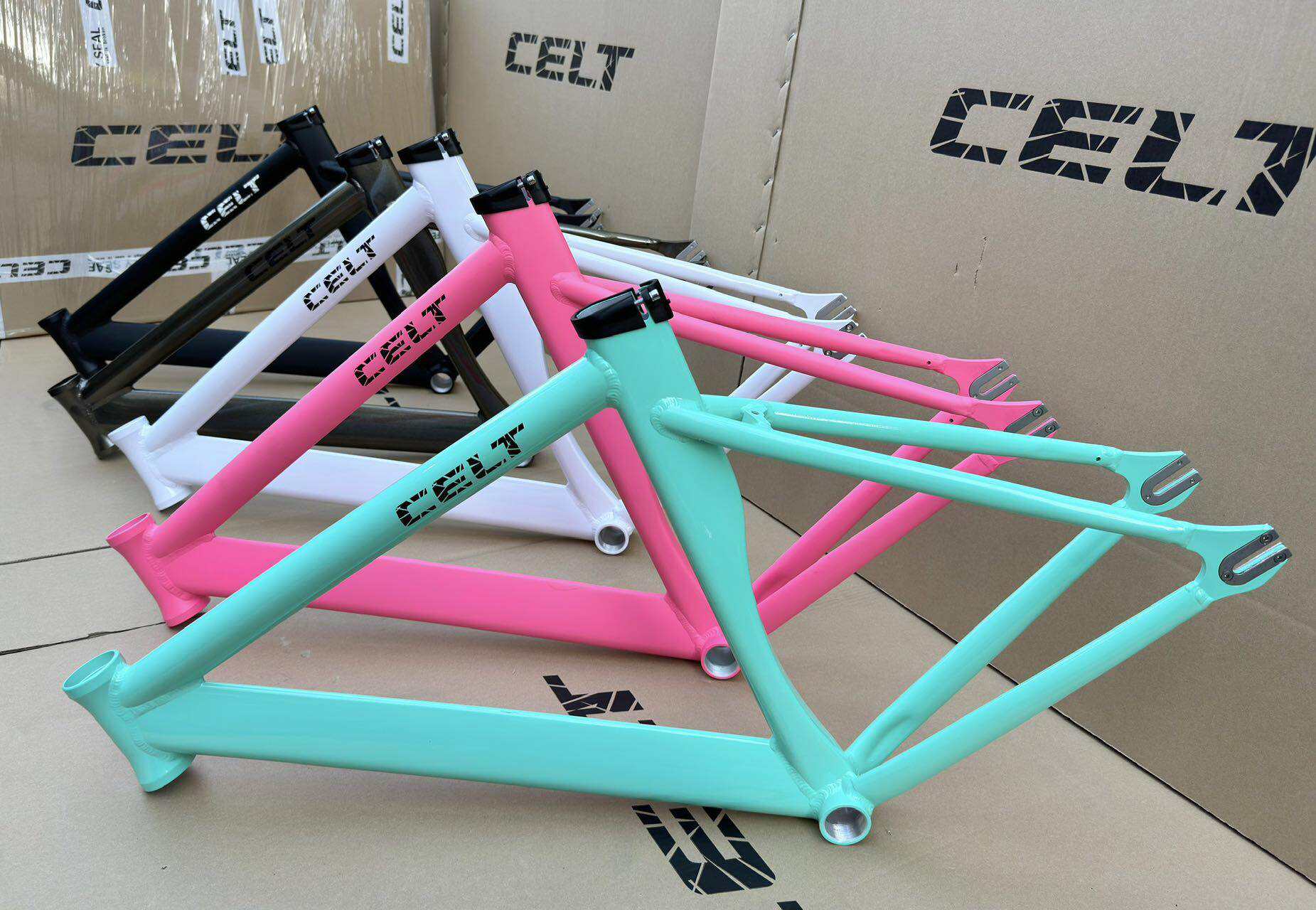 Celt ds aero 2k24 alloy frameset | Lazada PH