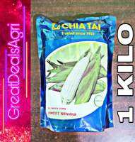 SWEET NIRVANA F1 (1 KILO) HYBRID WAXY CORN SEEDS CHIA TAI