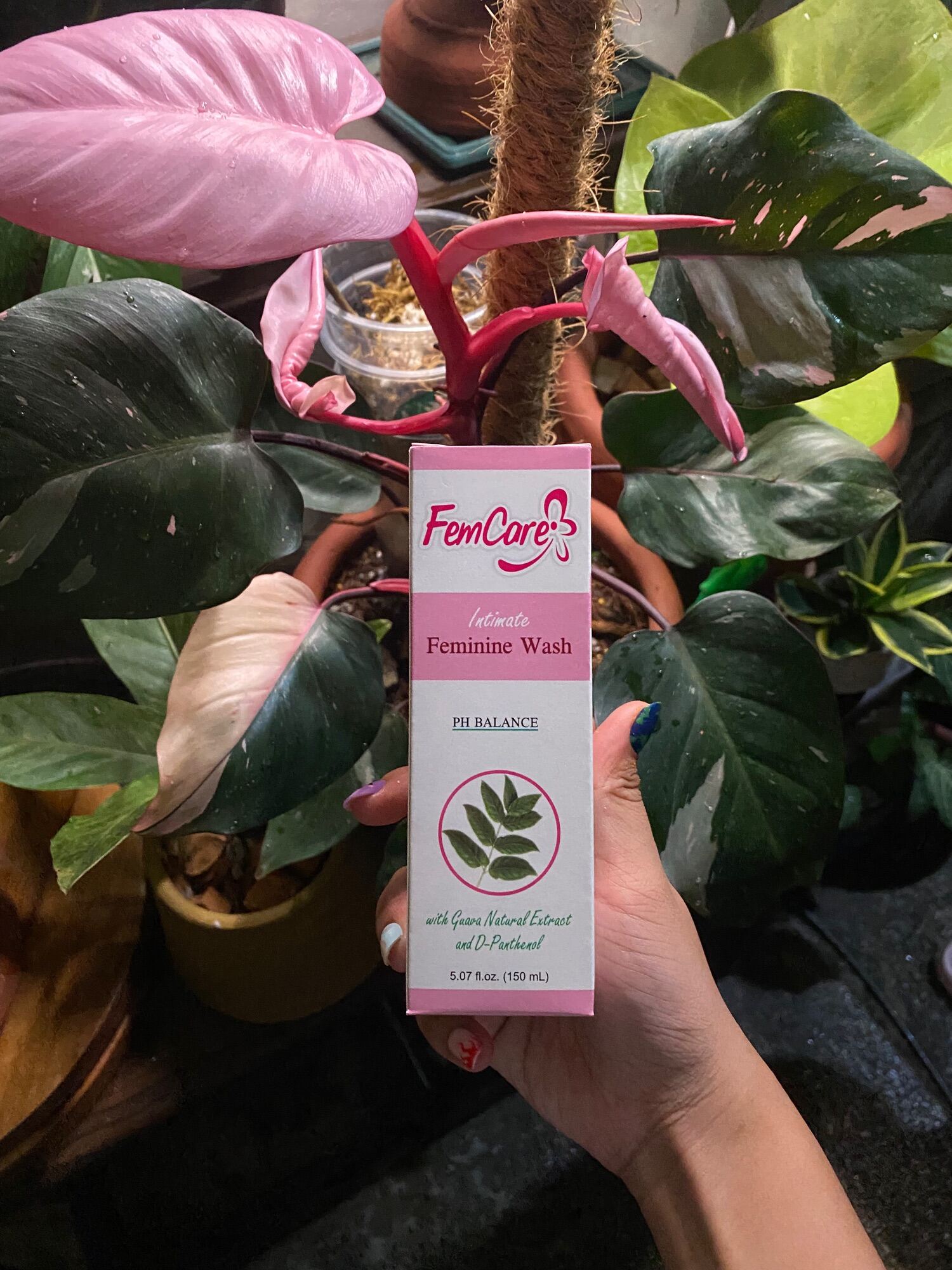 FEMCARE authentic feminine wash with guava extract Lazada PH