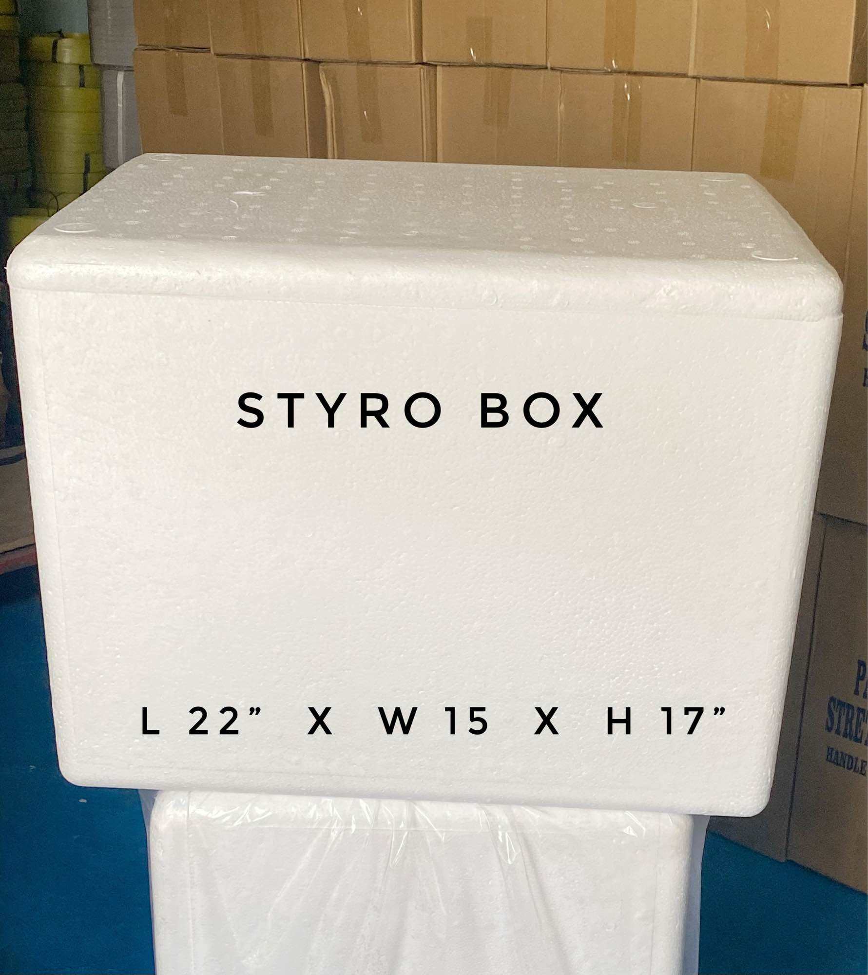 STYRO BOX / (L) 22 x (W) 15 x (H) 17 inches (BIG) Lazada PH