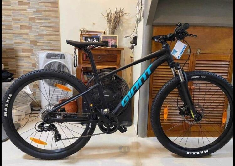 brand new giant mountain bike