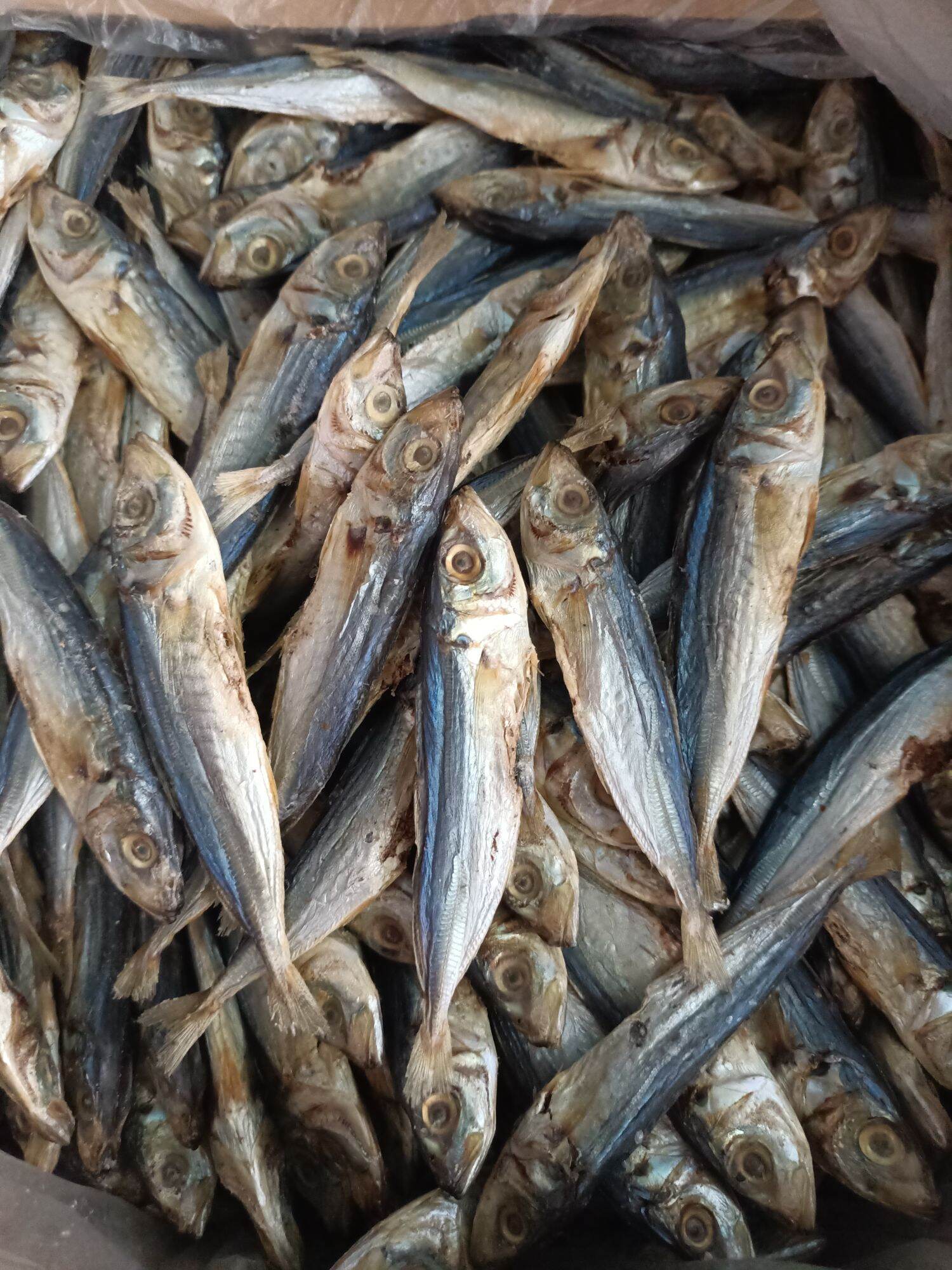 Galonggong dried fish 250g Lazada PH