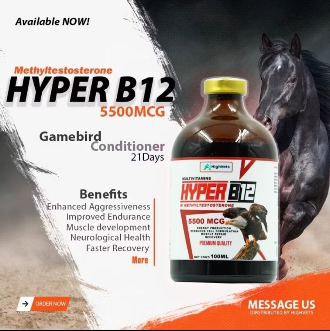 hyper b12 injectable hyper B12 5500MCG (vitamin b12 +B15 W Methyltestos for rooster breeding and  conditioning poultry) Vitamin B12+B15 For Poultry Farm Animals Vitamin  Supplement 10Ml-200Ml Bottle Sizes - Lazada