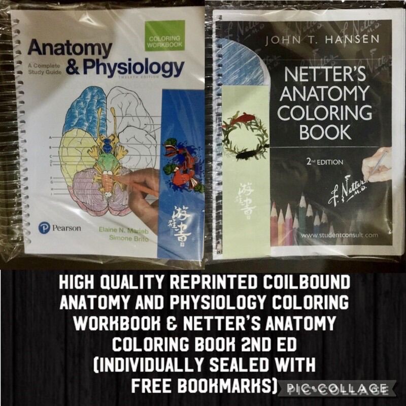 Netter’s Anatomy Coloring Book 2nd Netter Anatomy Physiology Coloring