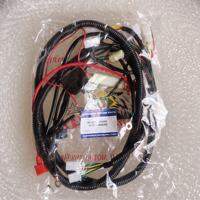 ECRIDE150R WIRE HARNESS MOTORSTAR