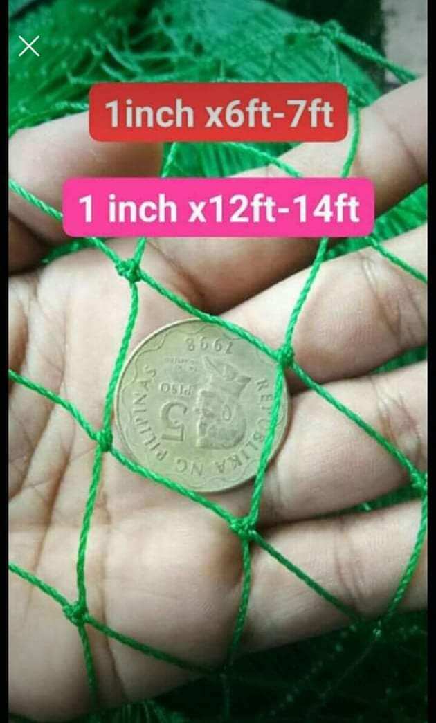 100 meters 1 inch x6ft Promo Net /Range Net/Chicken Net/Poultry Net/Fishing Net with Free Rope