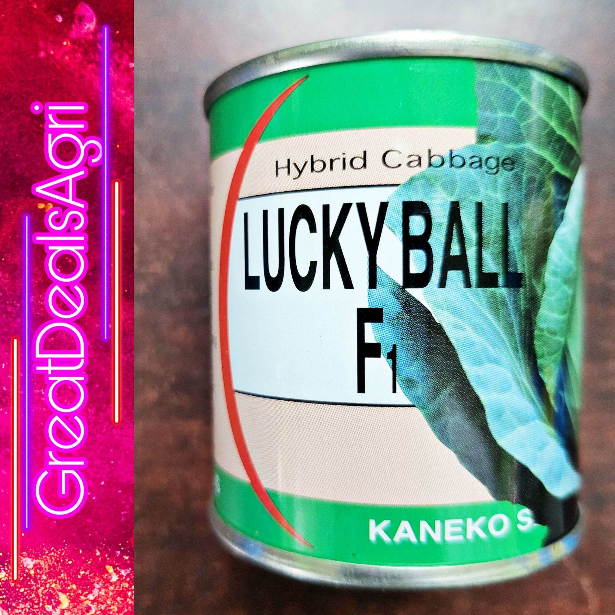 LUCKY BALL F1 HYBRID CABBAGE SEEDS (50 GRAMS) KANEKO SEEDS Lazada PH