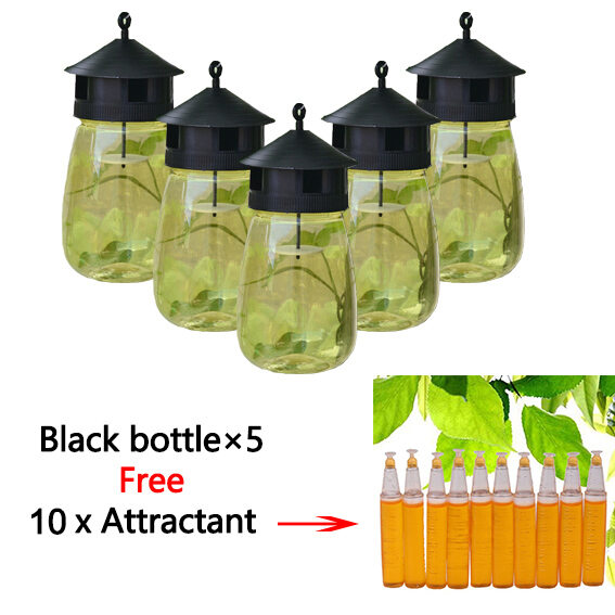 How to Control Small Flies in Kitchen - coohom.com