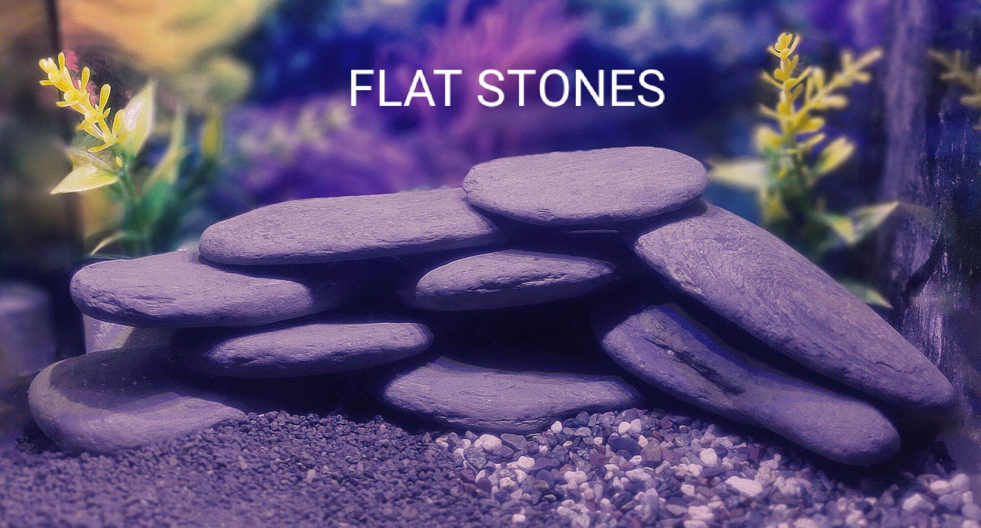 1KG FLAT STONES FOR YOUR AQUARIUM AQUASCAPING Lazada PH