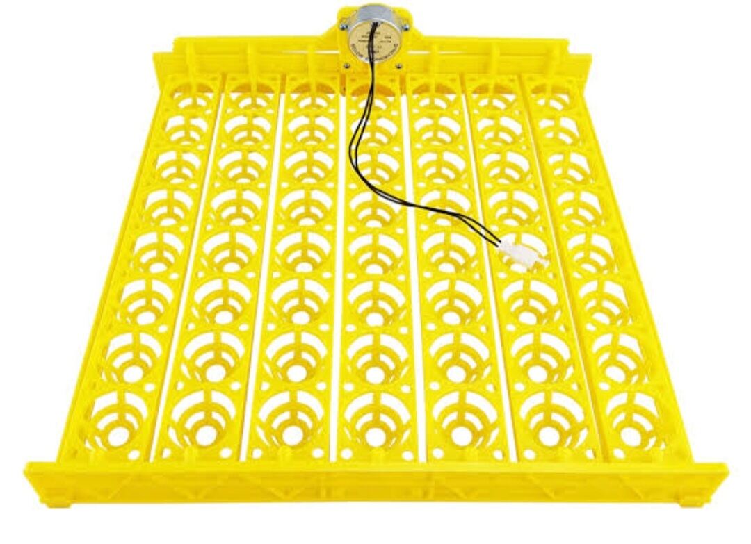 Automatic 48 eggs tray Lazada PH