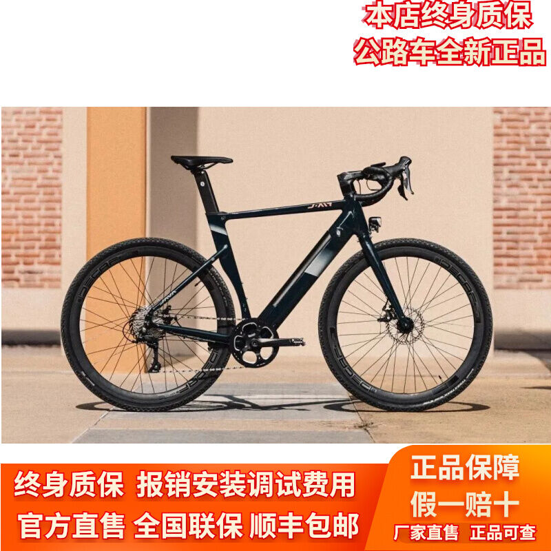 Frenetica Electric Power All Terrain E-Bike (Java)