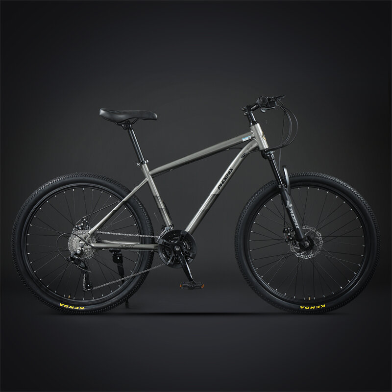 Phoenix Mountain Bike Men's Variable Speed off-Road Bicycle Men's 24 ...