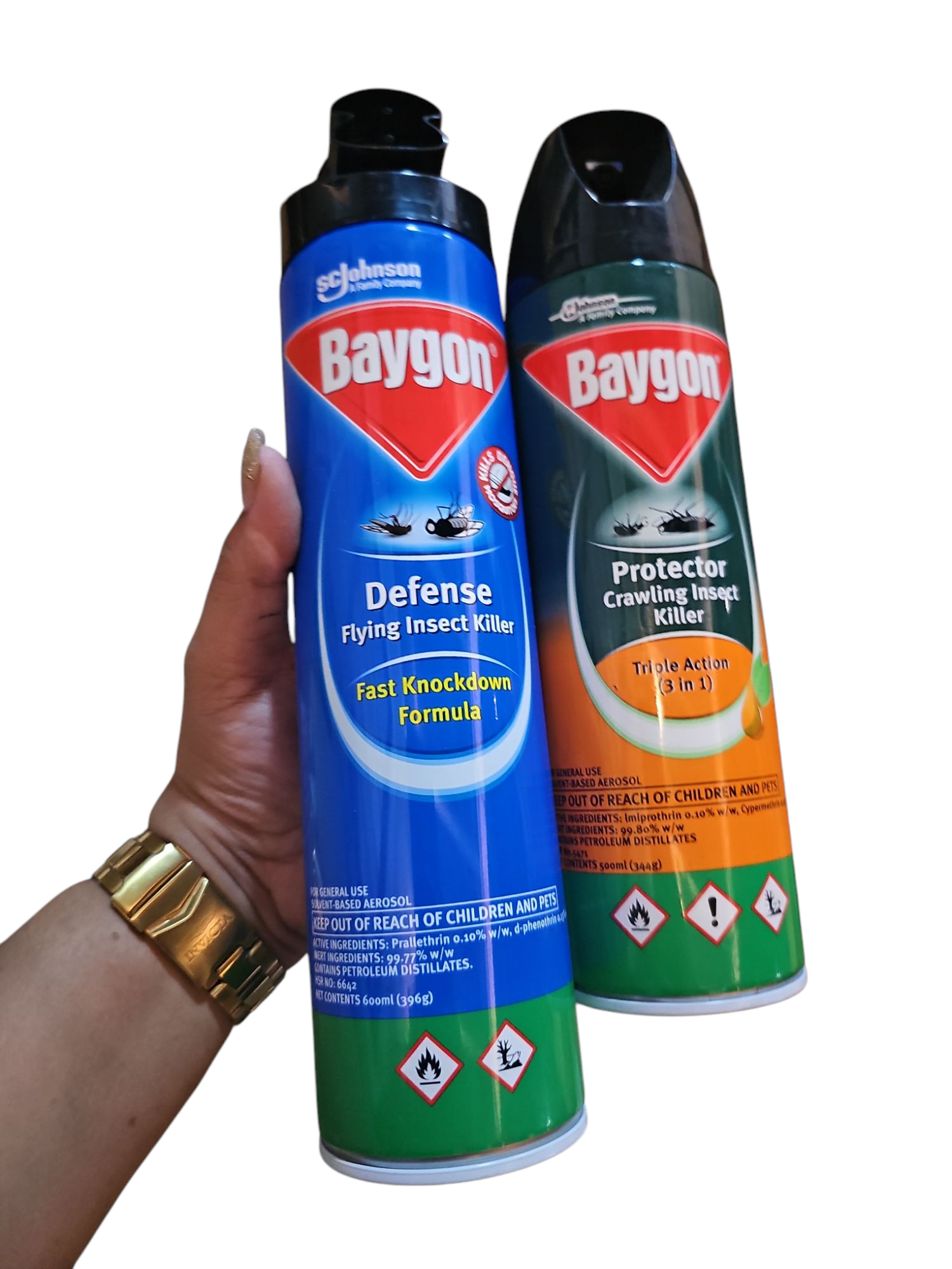 BAYGON INSECT SPRAY 500/600ML