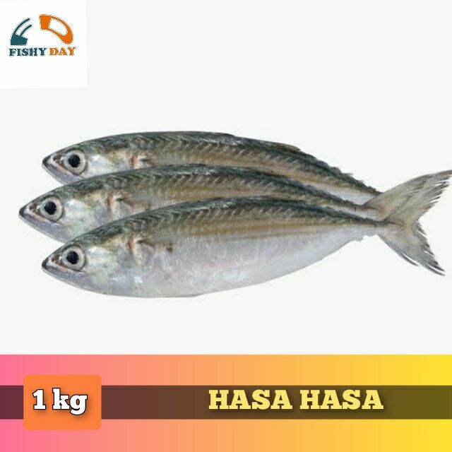 FRESH FISH SEAFOOD HASA HASA 1Kg | Lazada PH