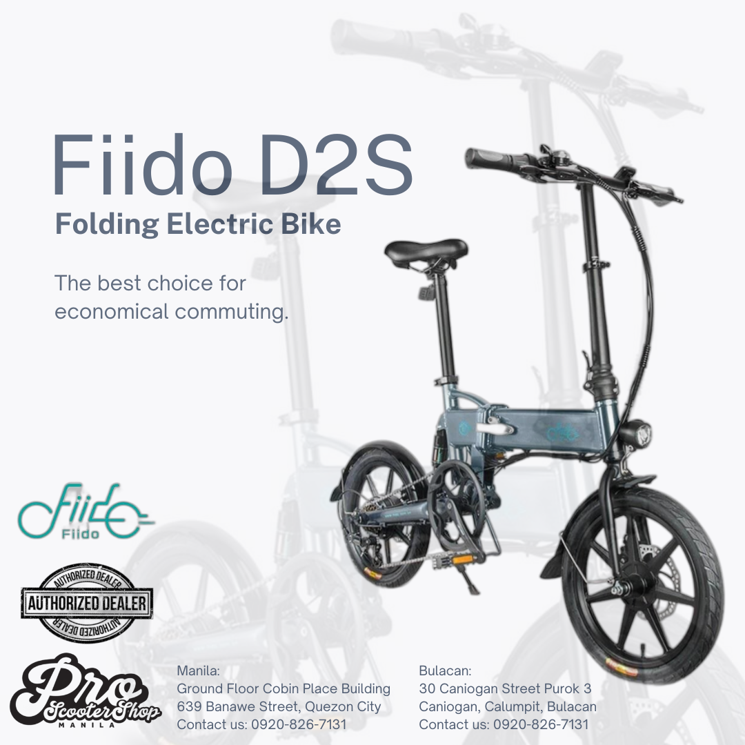 Fiido D2S Folding Electric Bike