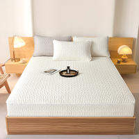 SUSE | Full Encasement Thick Cotton Zippered Waterproof Dustproof Mattress Cover
