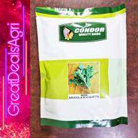 ARUGULA ROCQUETTE ( 1 KILO ) BY CONDOR SEEDS