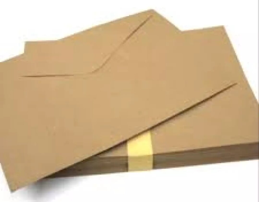 12 pcs brown envelope long and shorts envelope. 
