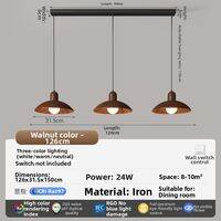 CHANGHONG | Retro Elegance Ceiling Light for Dining Bar