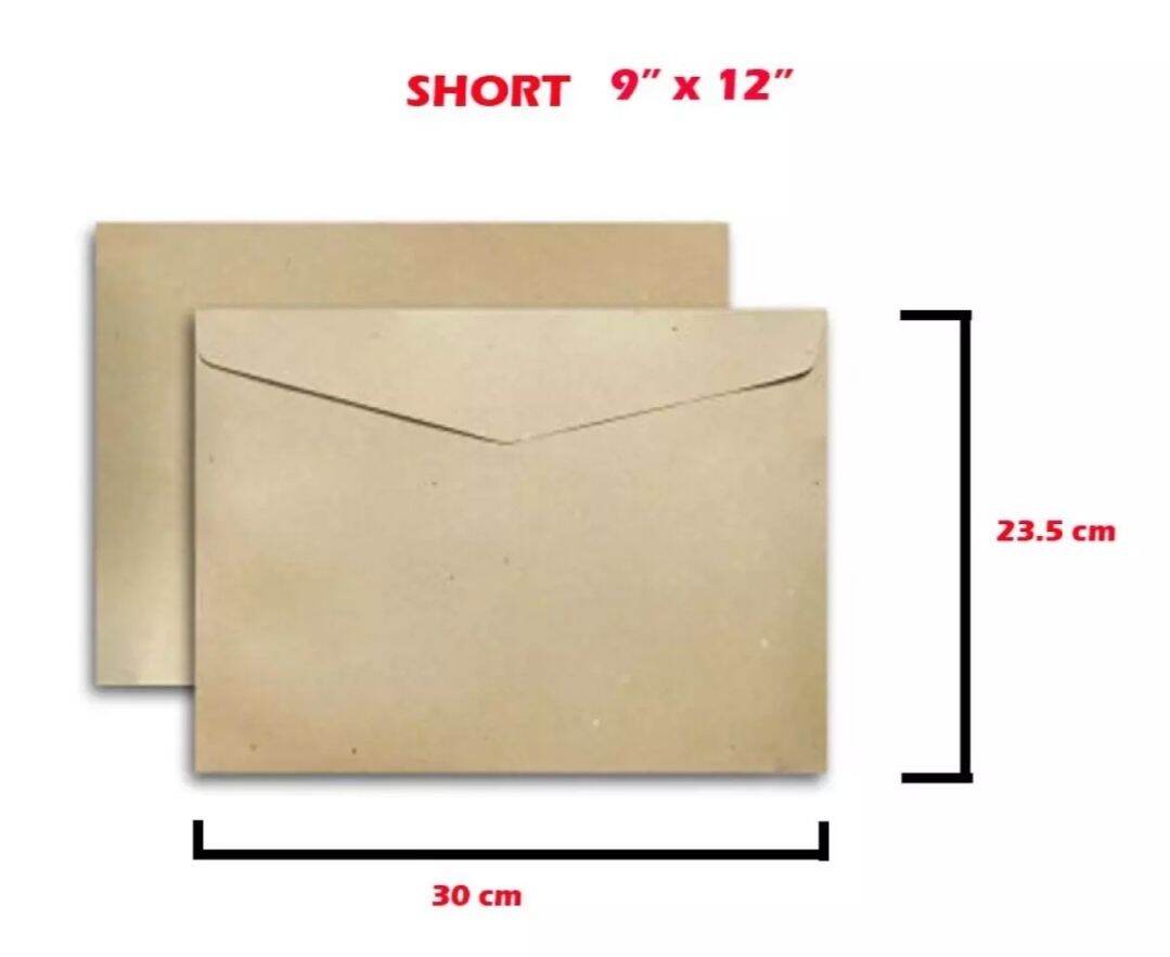 12 pcs brown envelope long and shorts envelope. 