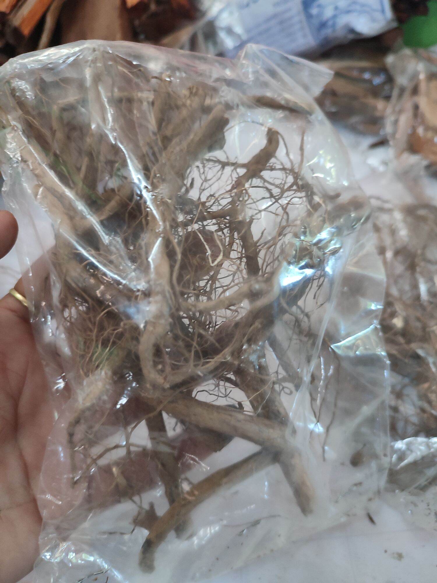 Elepante root herbal gamot sa binat 10 grams Lazada PH