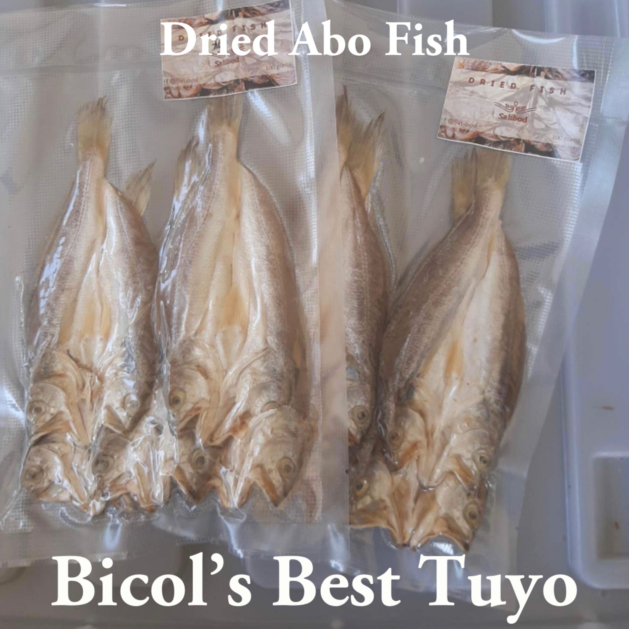 Dried fish (Abo) 100 grams SaLibod Bicol’s Best Lazada PH