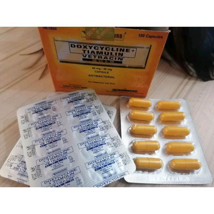 10 CAPSULE VETRACIN GOLD (1BANIG) Lazada PH