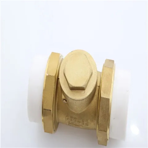 Ppr Hot Melt Check Valve - Water Pipe Fittings