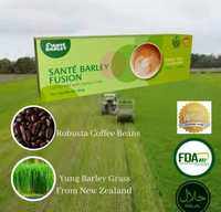 Sante Barley Fusion Coffee